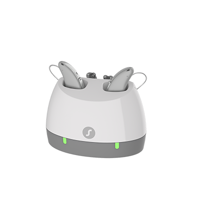 Standard Charger for Pure